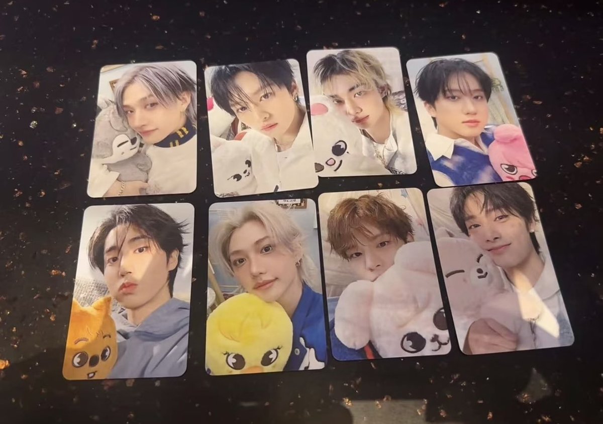 StrayKids スキズ 6th ペンミ STAYZONE 入場特典 共同購入 4/4 譲