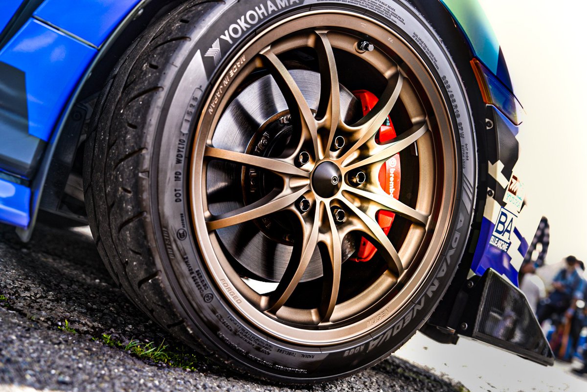 m.photo Collection tweet media