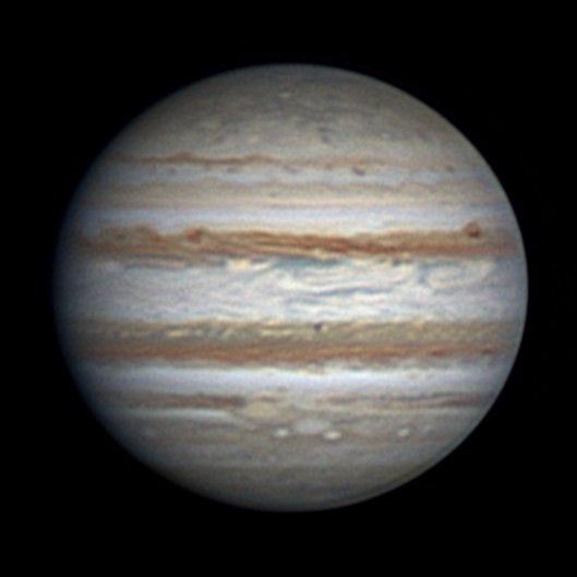 くう😪💤ねこと格闘中 tweet media