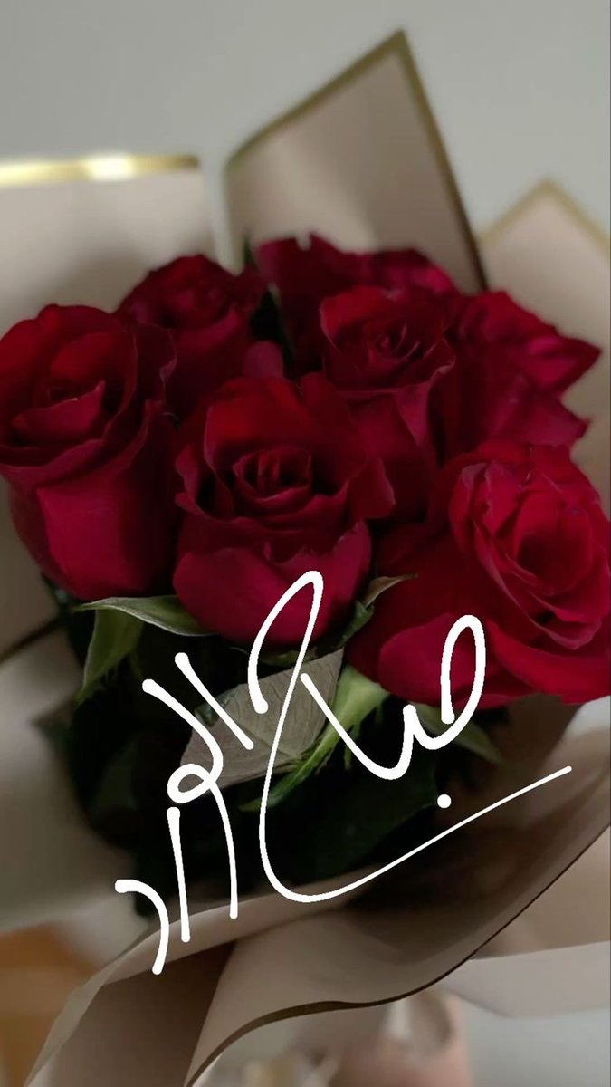 Samer سامر tweet media