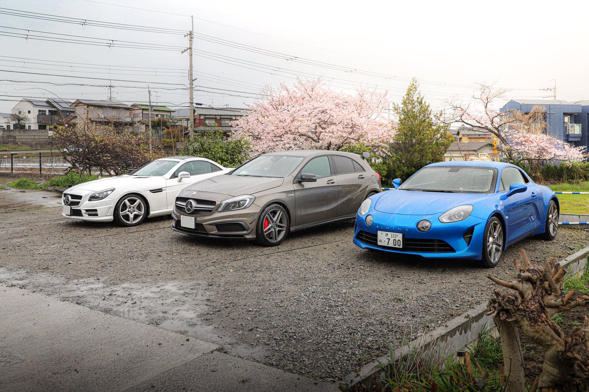 ピヌガヌ tweet media