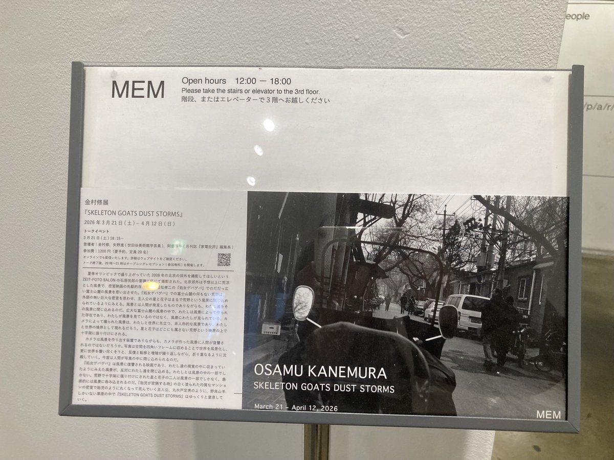 🦧Mariko Tsukamoto🦍 tweet media