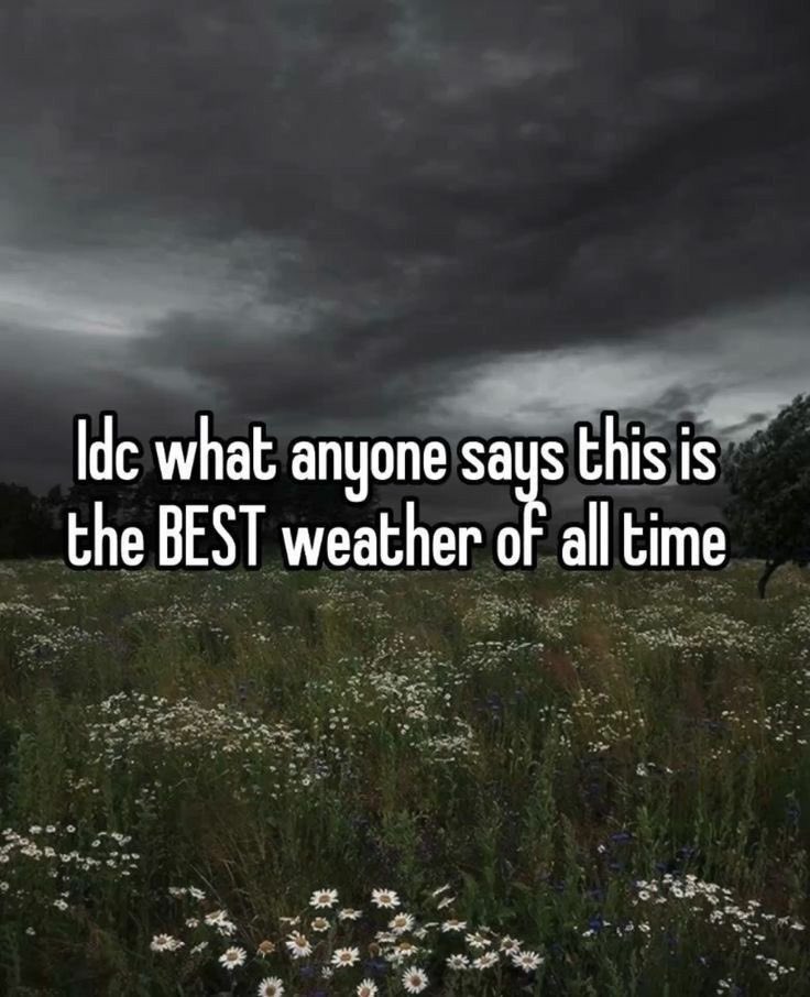 👻 𝘯𝑎𝘵𝑢𝘳𝑒 👻 tweet media