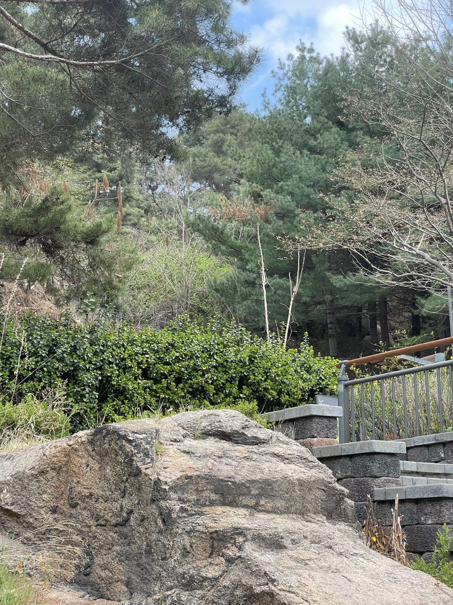 🐱💔 tweet media