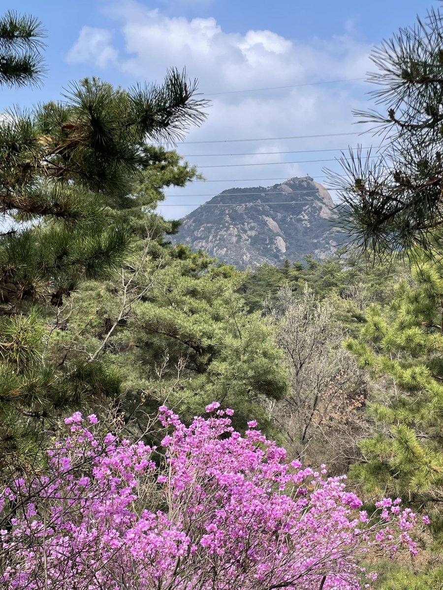 🐱💔 tweet media