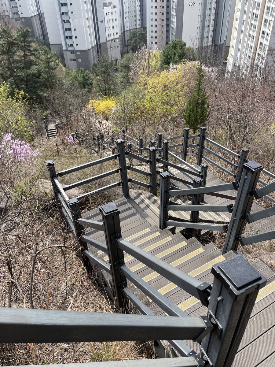 🐱💔 tweet media