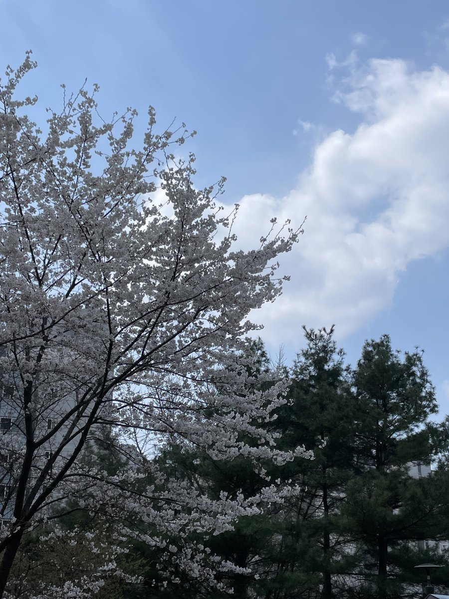 🐱💔 tweet media