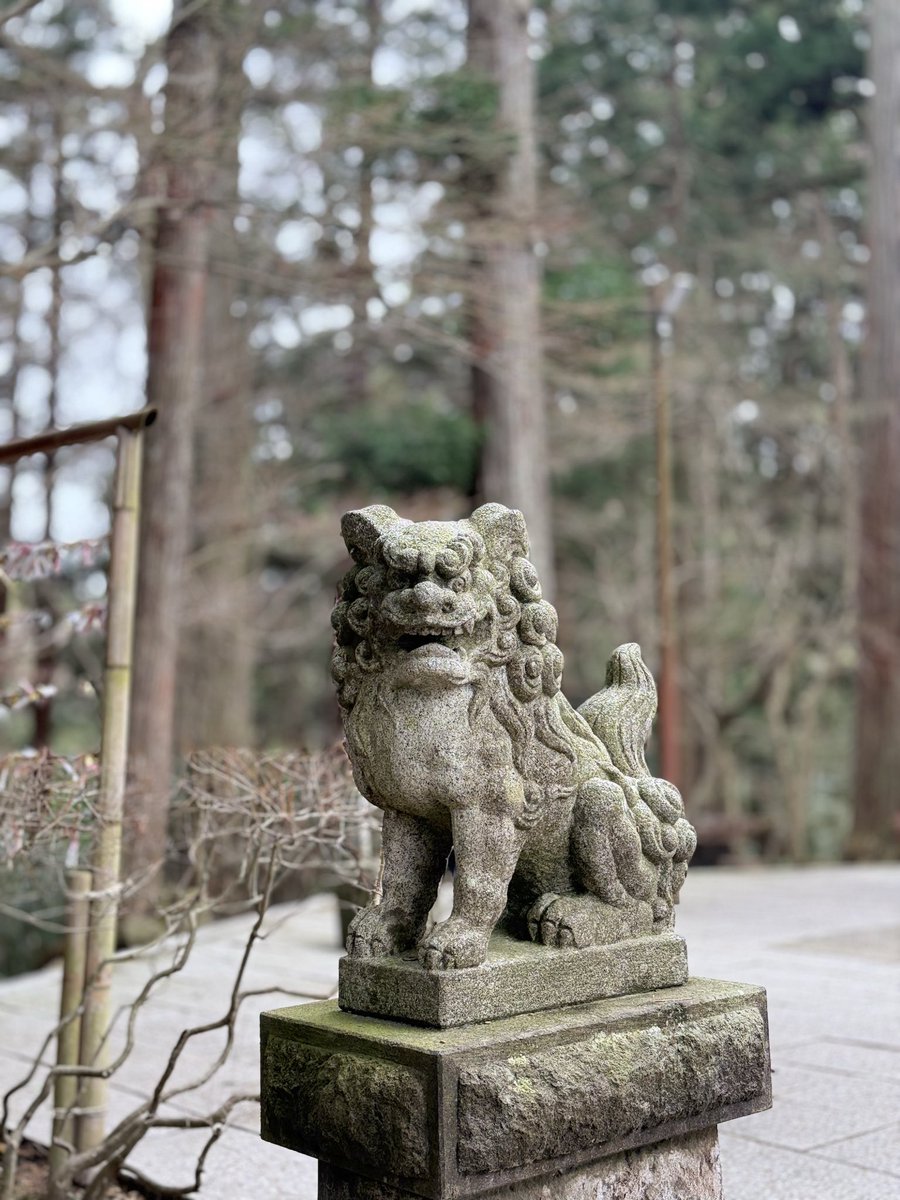 ジョニみちお tweet media