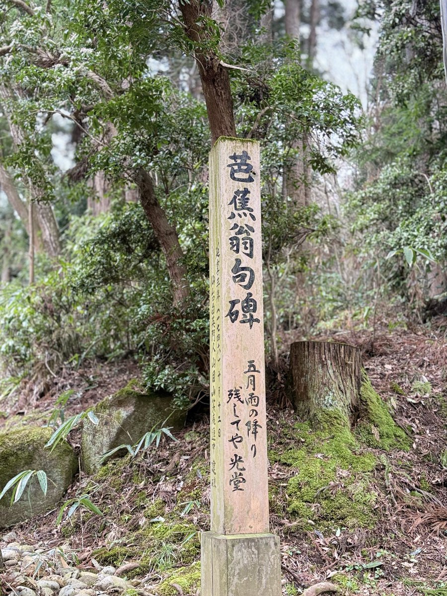 ジョニみちお tweet media