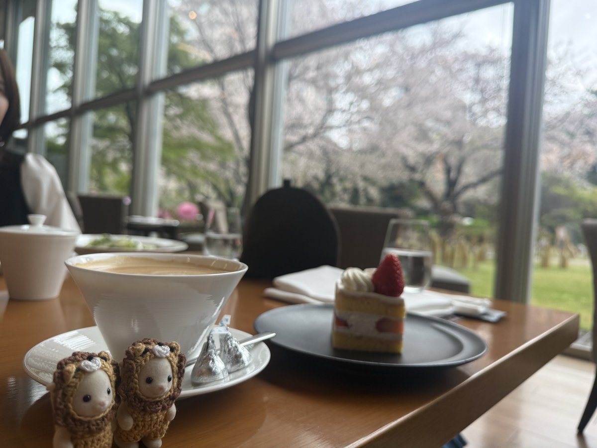 yuzuchi_0610's tweet photo. 毎年恒例、大学時代のお友達とグランドプリンスホテル新高輪の桜を見ながらのお茶会🌸
あいにくのお天気でしたが、綺麗でした！
もう30年の仲。
卒業式もここだったなぁ。
娘の運転で最寄りの駅まで送ってもらいました🚗 https://t.co/CVJTZzcWp5