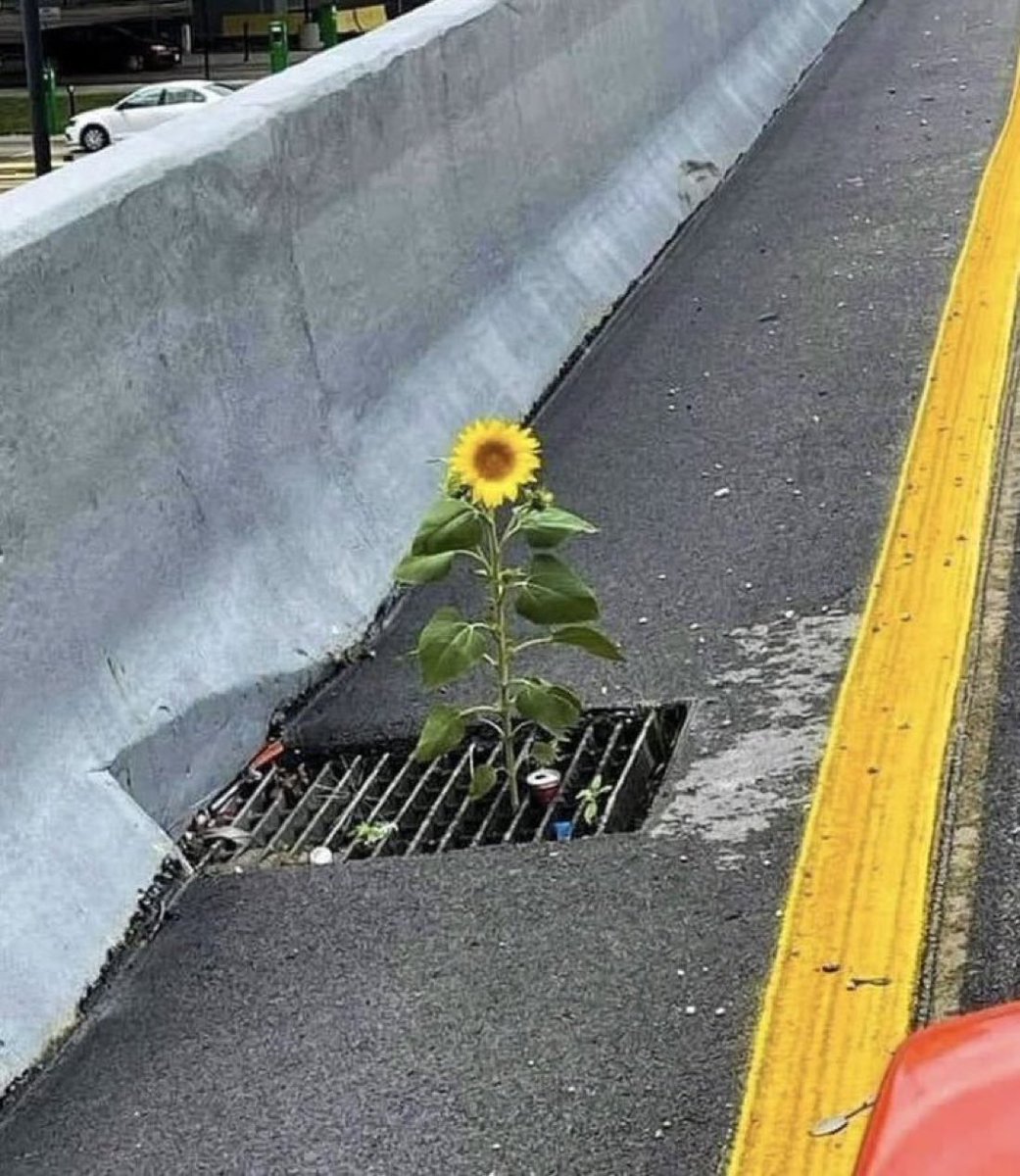 Science girl tweet media