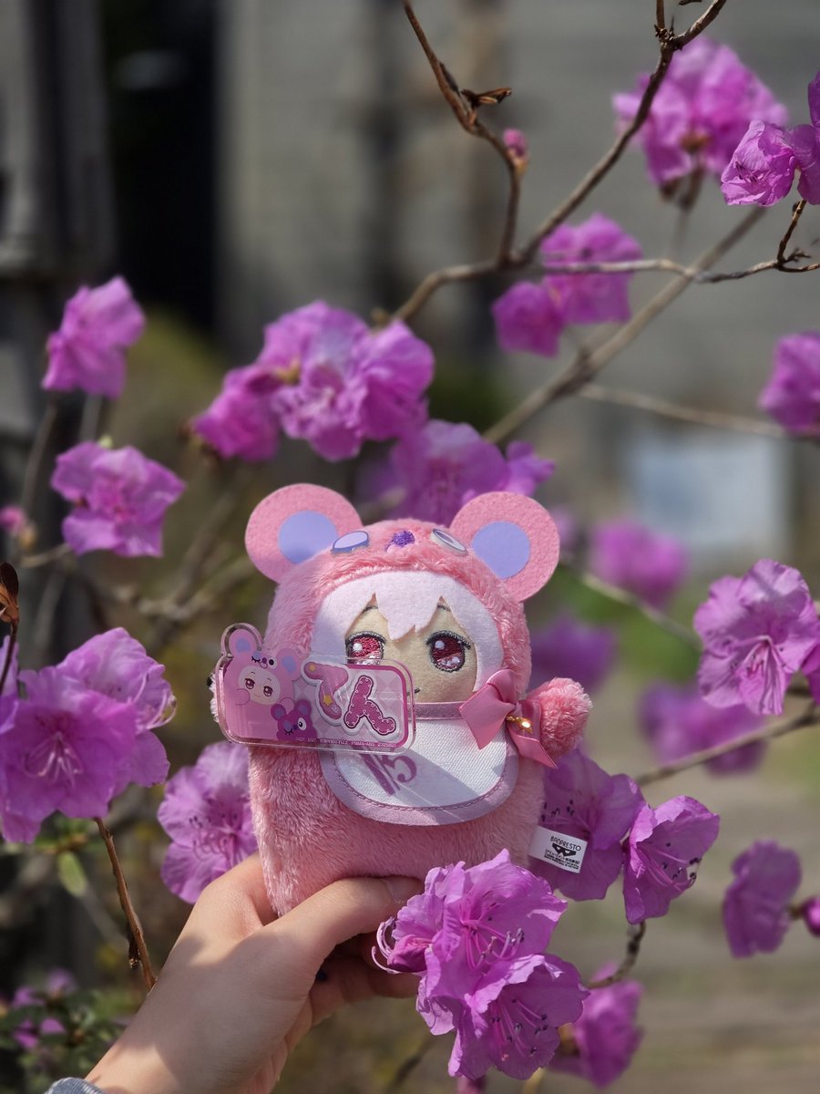 새우젓 tweet media