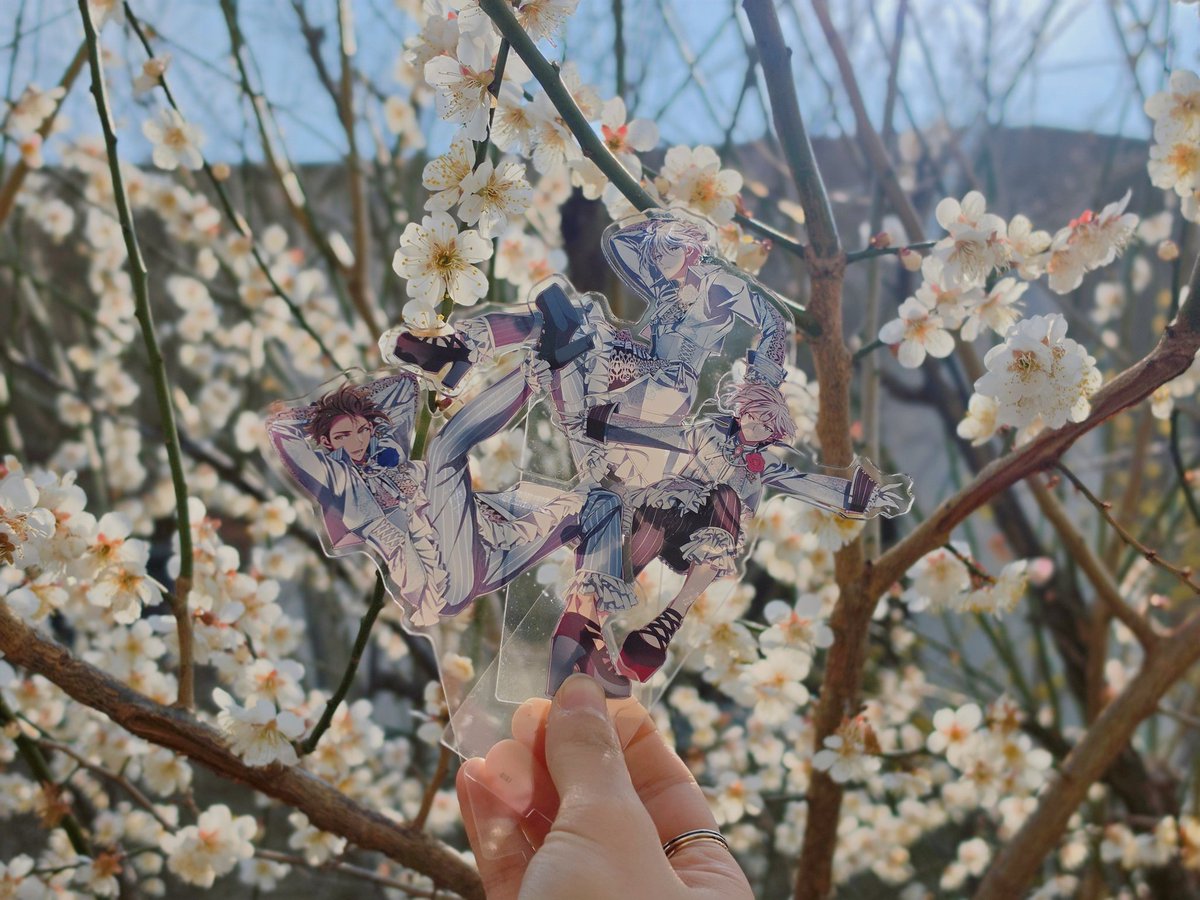 새우젓 tweet media