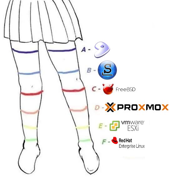 HACKTORIA || OSINT CTF 🏴 tweet media