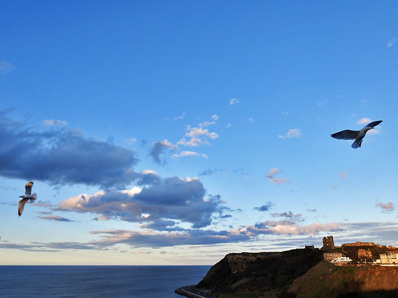 FeelBetter2day tweet media