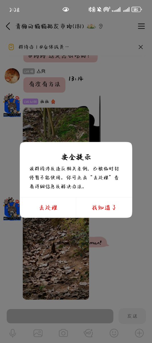 青梅🍥 tweet media