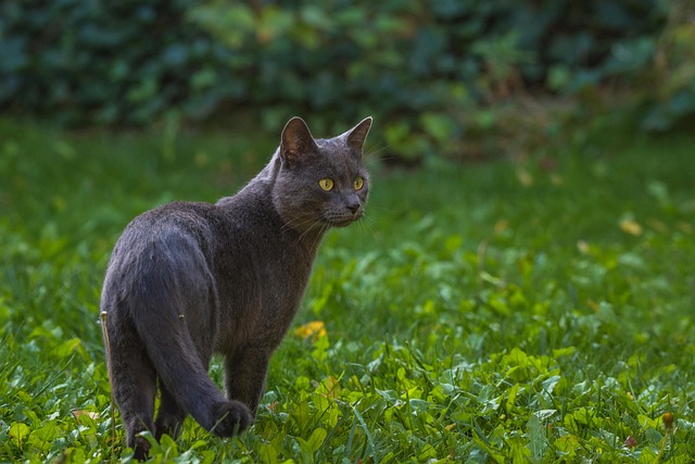 Lina Goetz tweet media