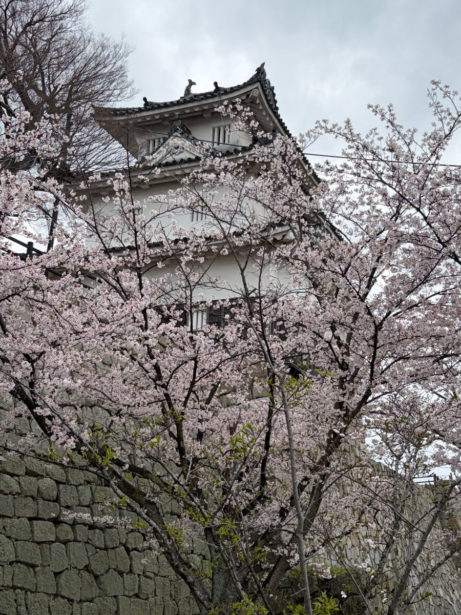 Ménerlache tweet media