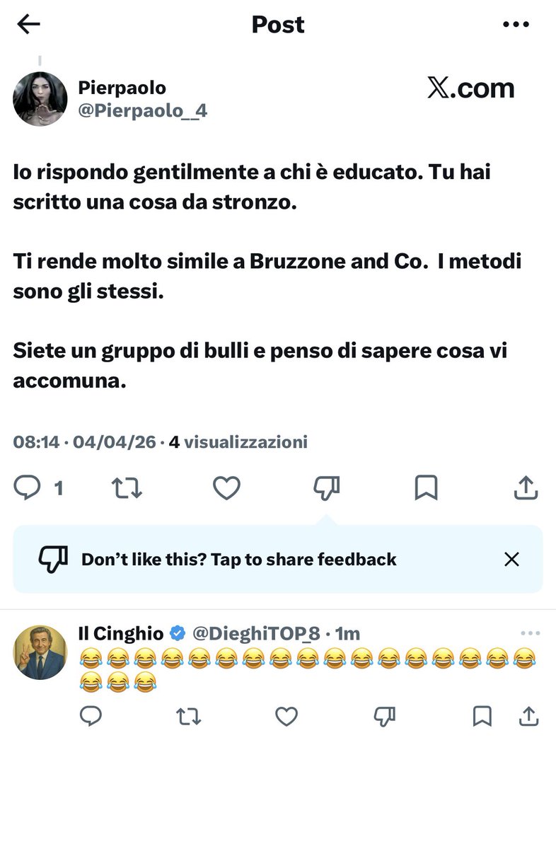 Il Cinghio tweet media
