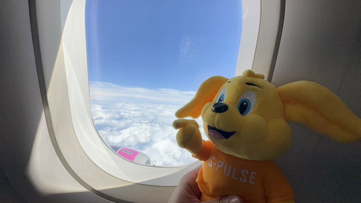 モル🐹香川のエスパサポ🌻 tweet media