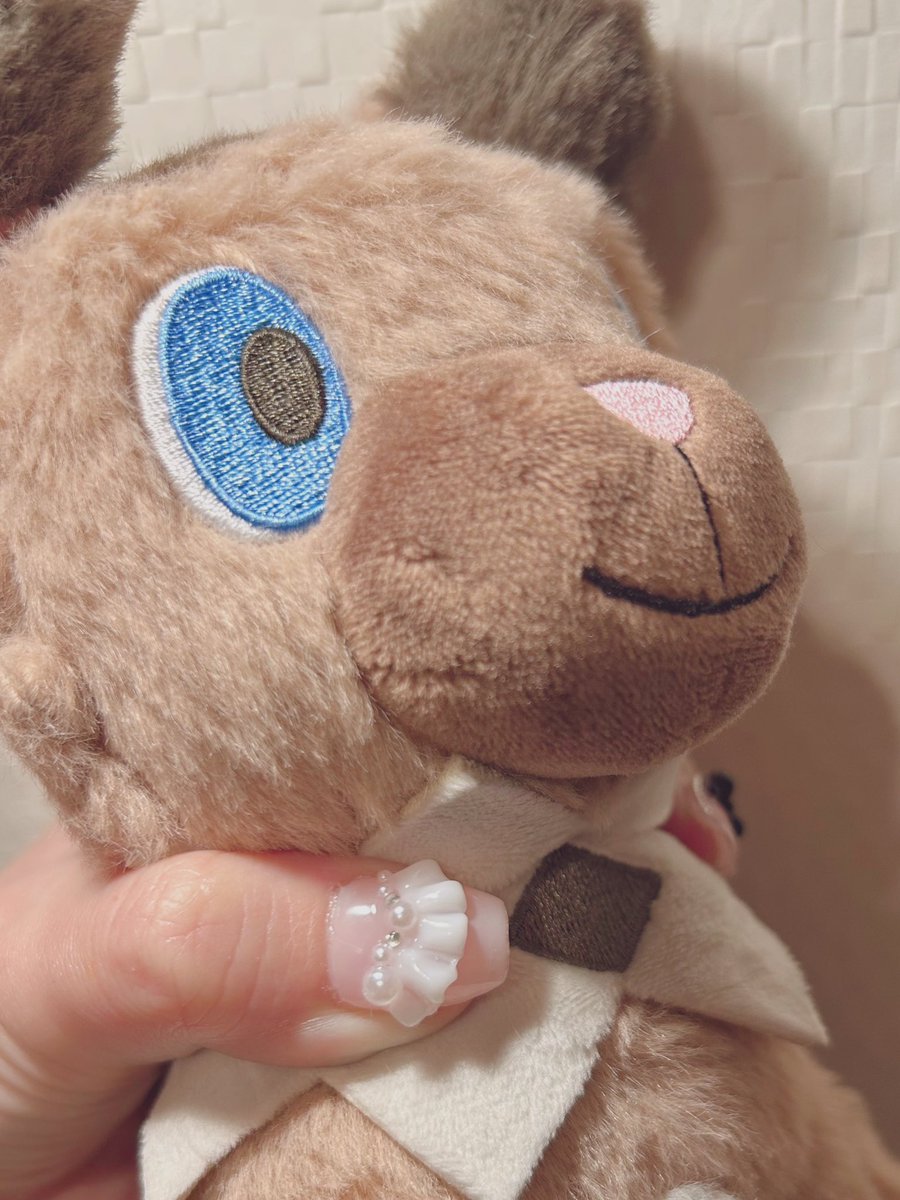 やんごとなきカニ鍋星人🦀 tweet media