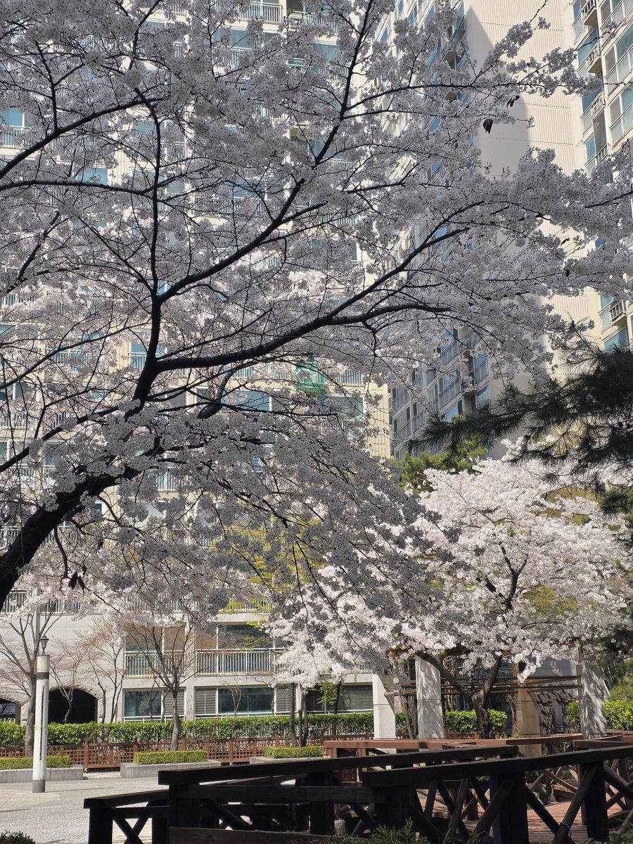 김루시 tweet media