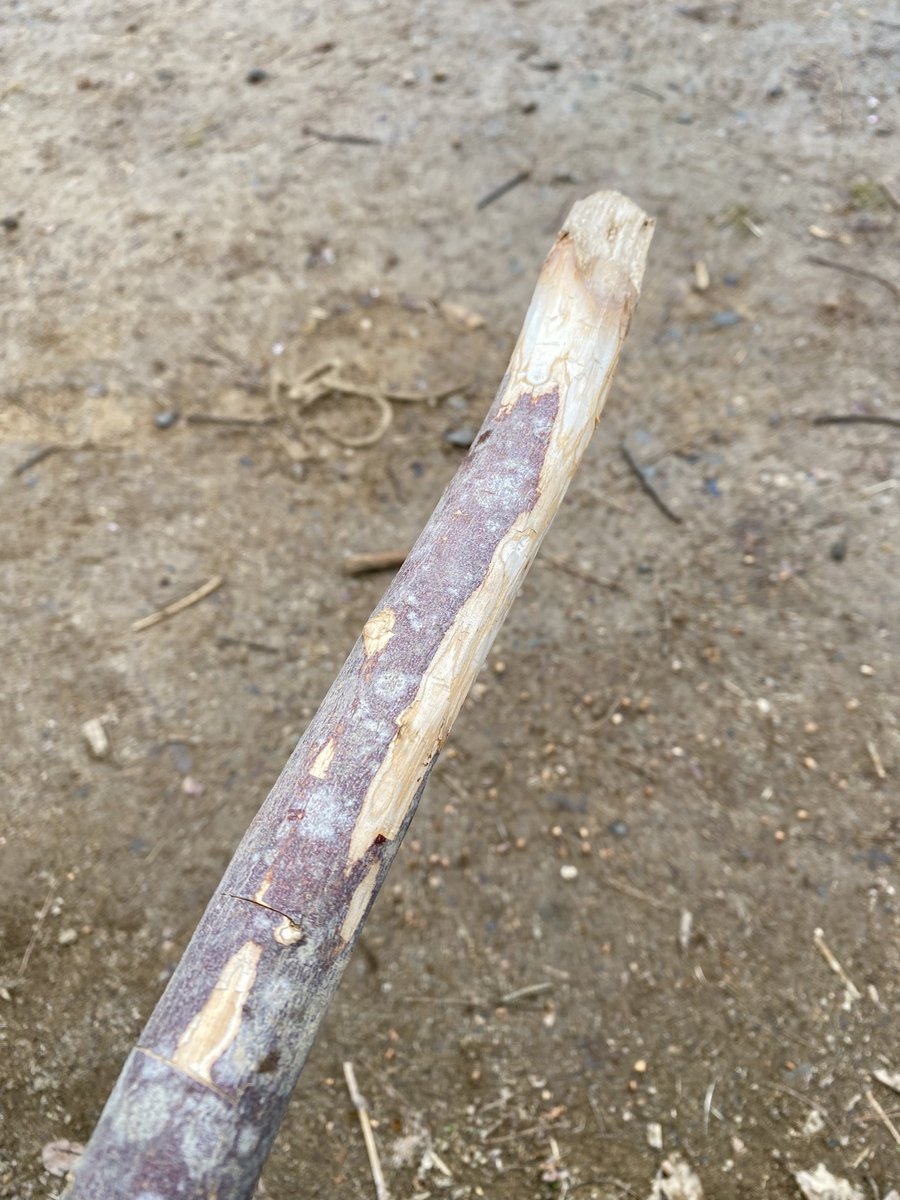 川村祐介 kawamura yusuke tweet media