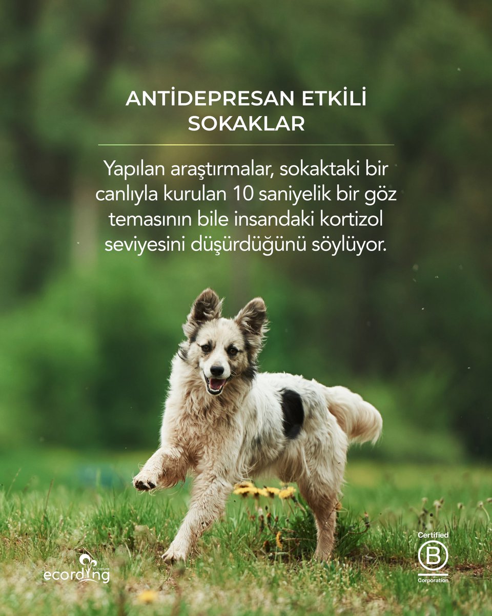 ecording | B Corp™ tweet media