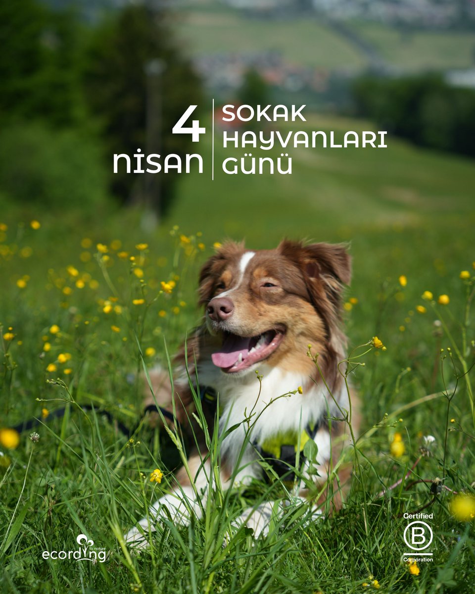 ecording | B Corp™ tweet media