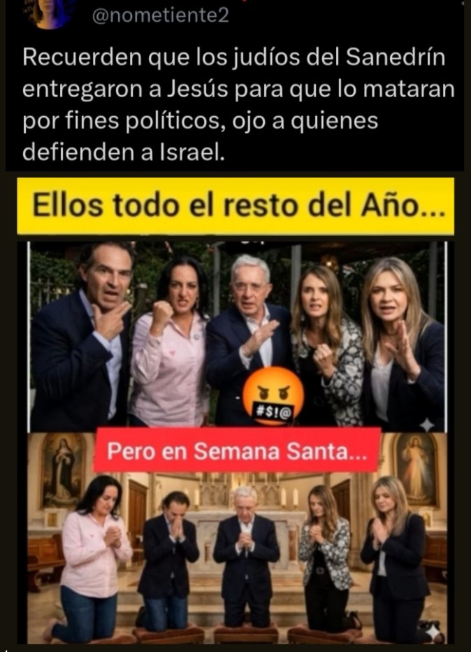 Tia Antifascita tweet media