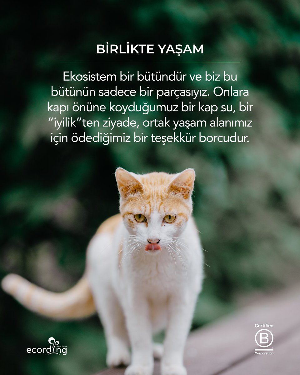 ecording | B Corp™ tweet media