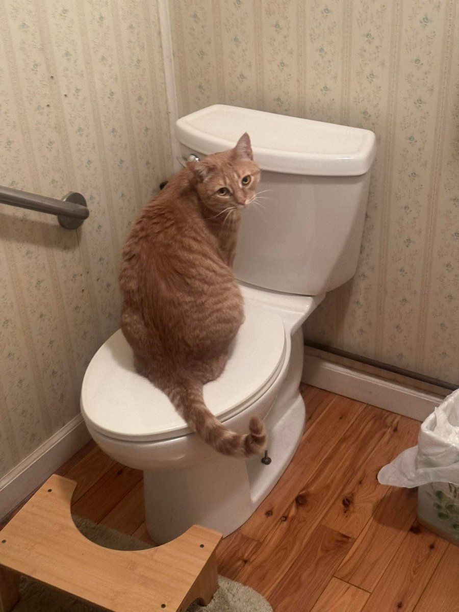 Sara Mary ⭐❤️ tweet media