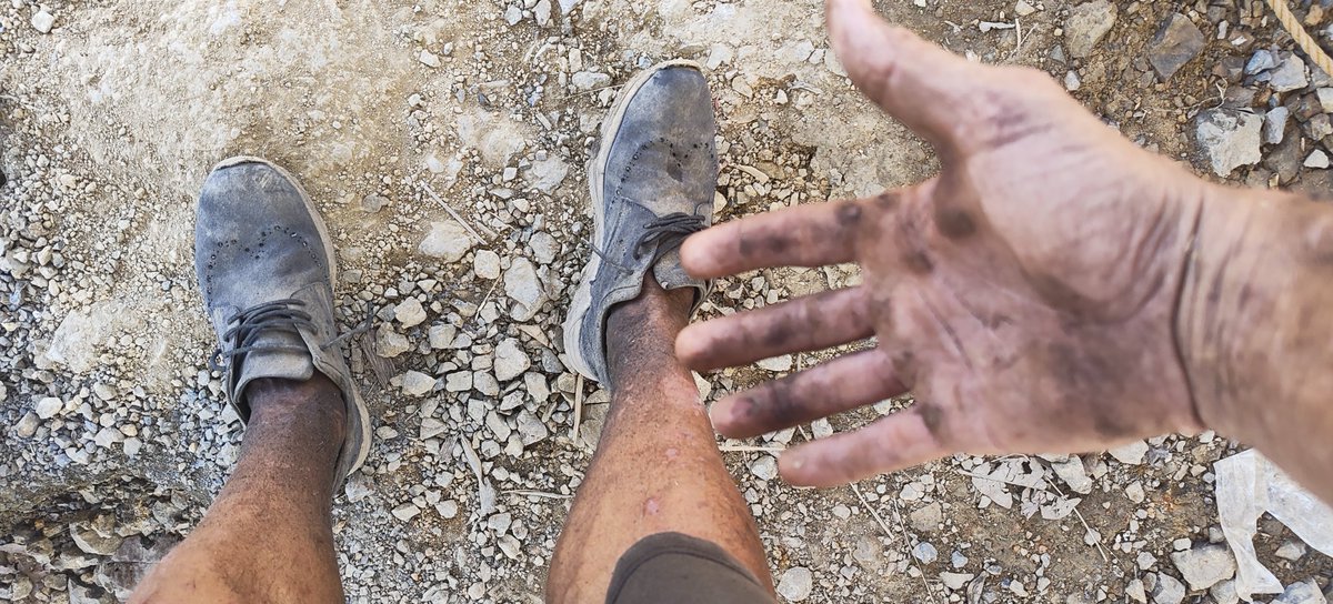 Johnny Gonzo ⚡ Plasma Jungle tweet media