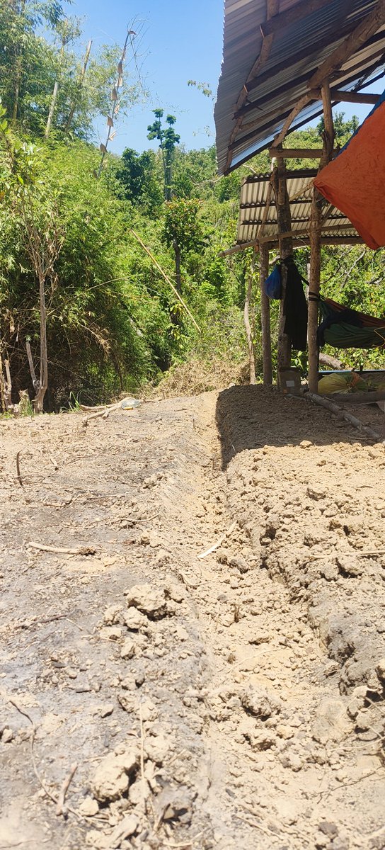 Johnny Gonzo ⚡ Plasma Jungle tweet media