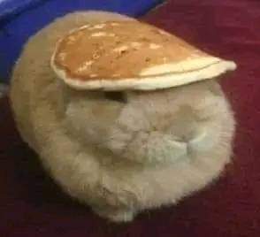 BalduinoIV tweet media