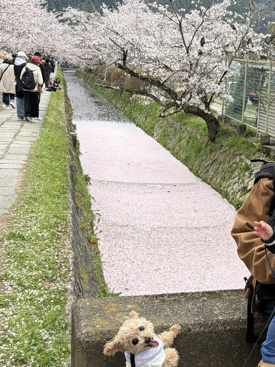 lemonono🍋 tweet media