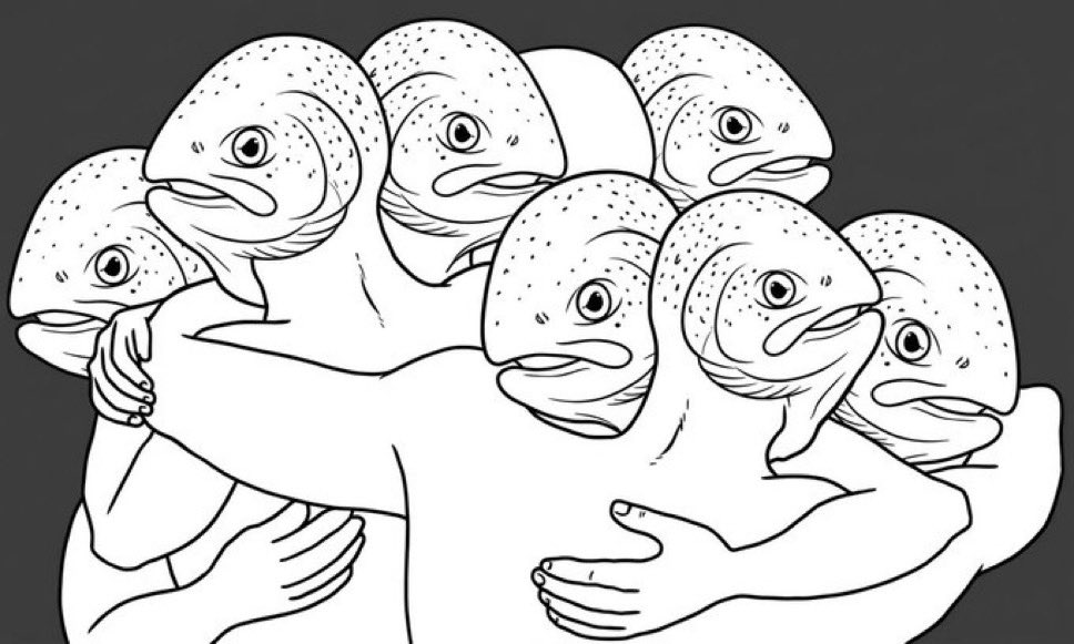 CryptoMattic 🐟 tweet media