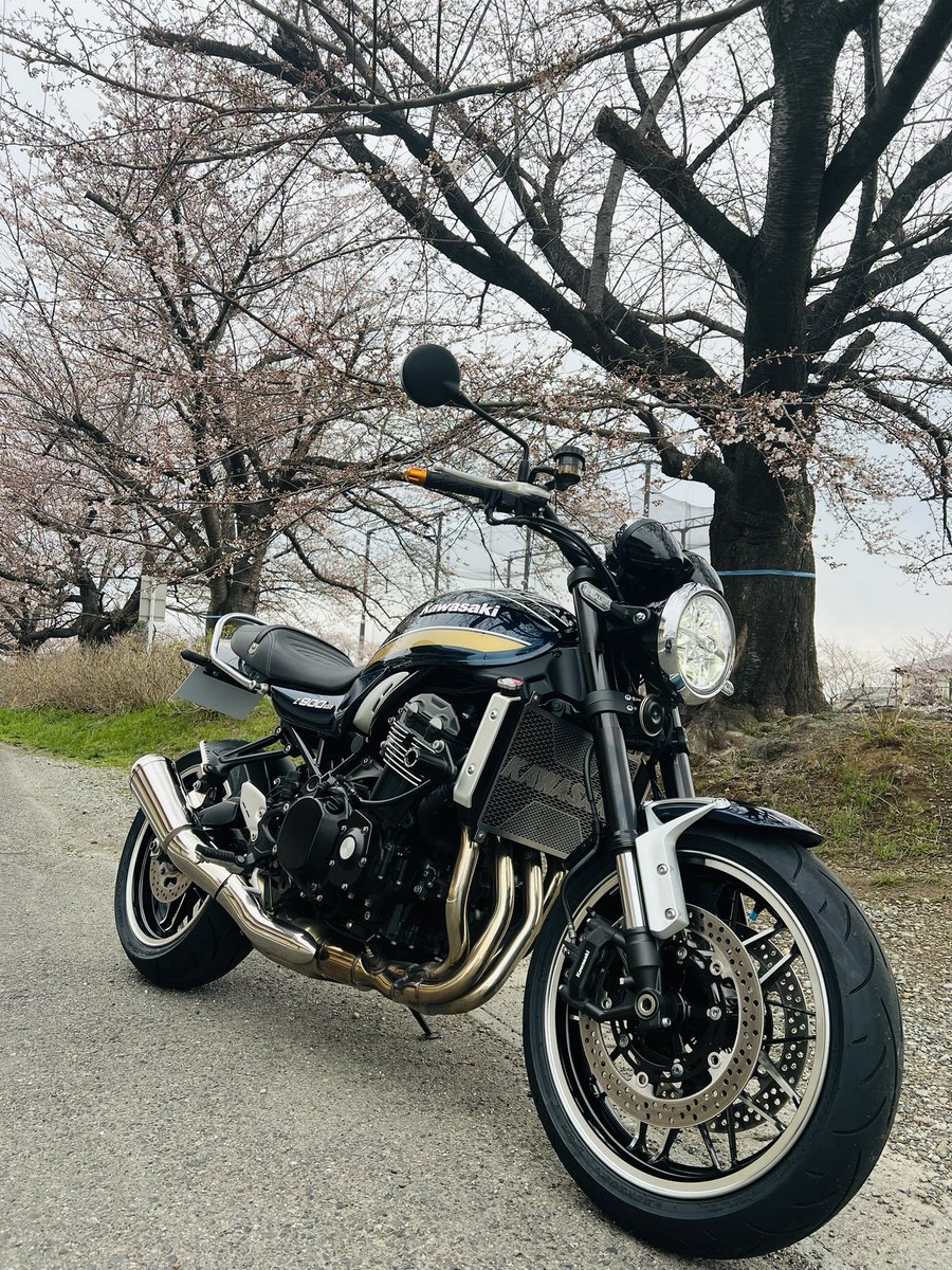 リョウ@R.sato tweet media