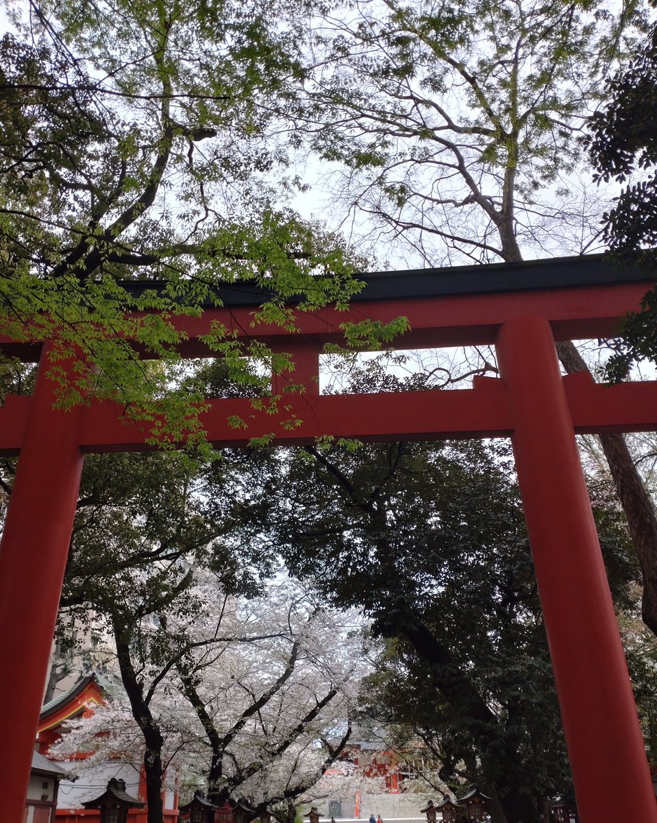 GoldenDoubleDeluxe!! tweet media