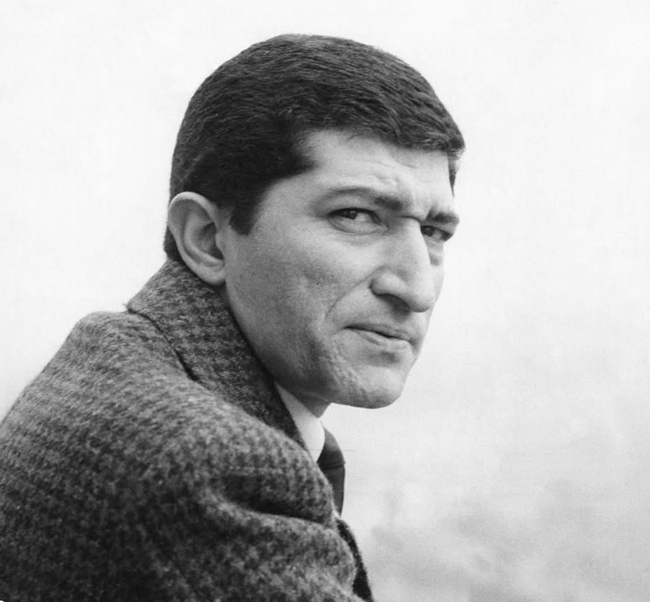 L’Oasi di Salvo tweet media