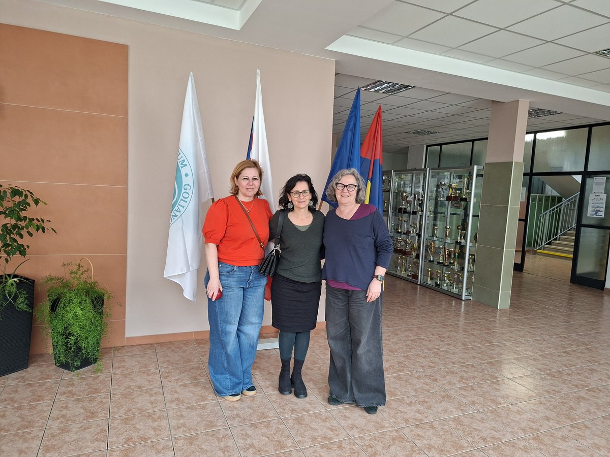 Projectes internacionals Bellera tweet media