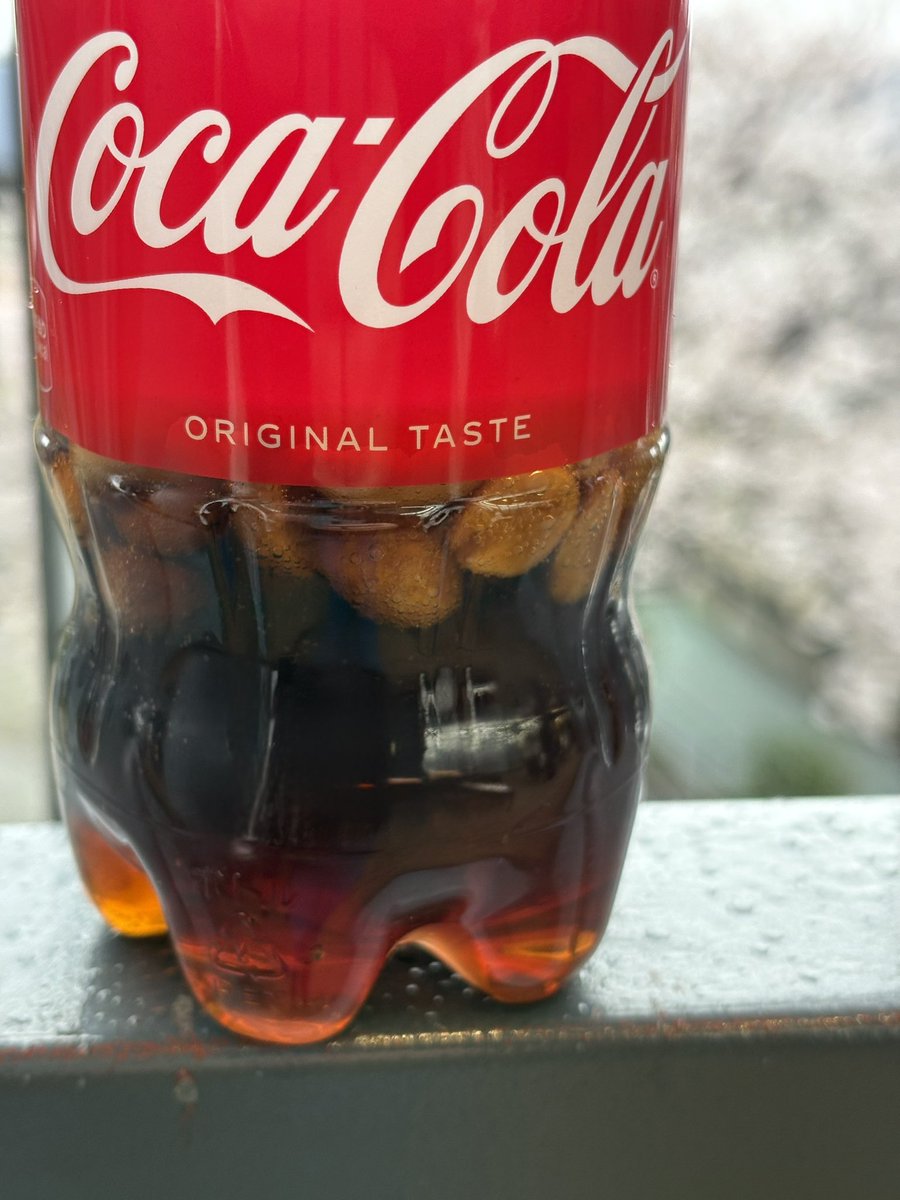 coco catlover tweet media