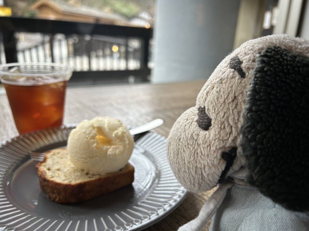 ヌー君の独り言 tweet media