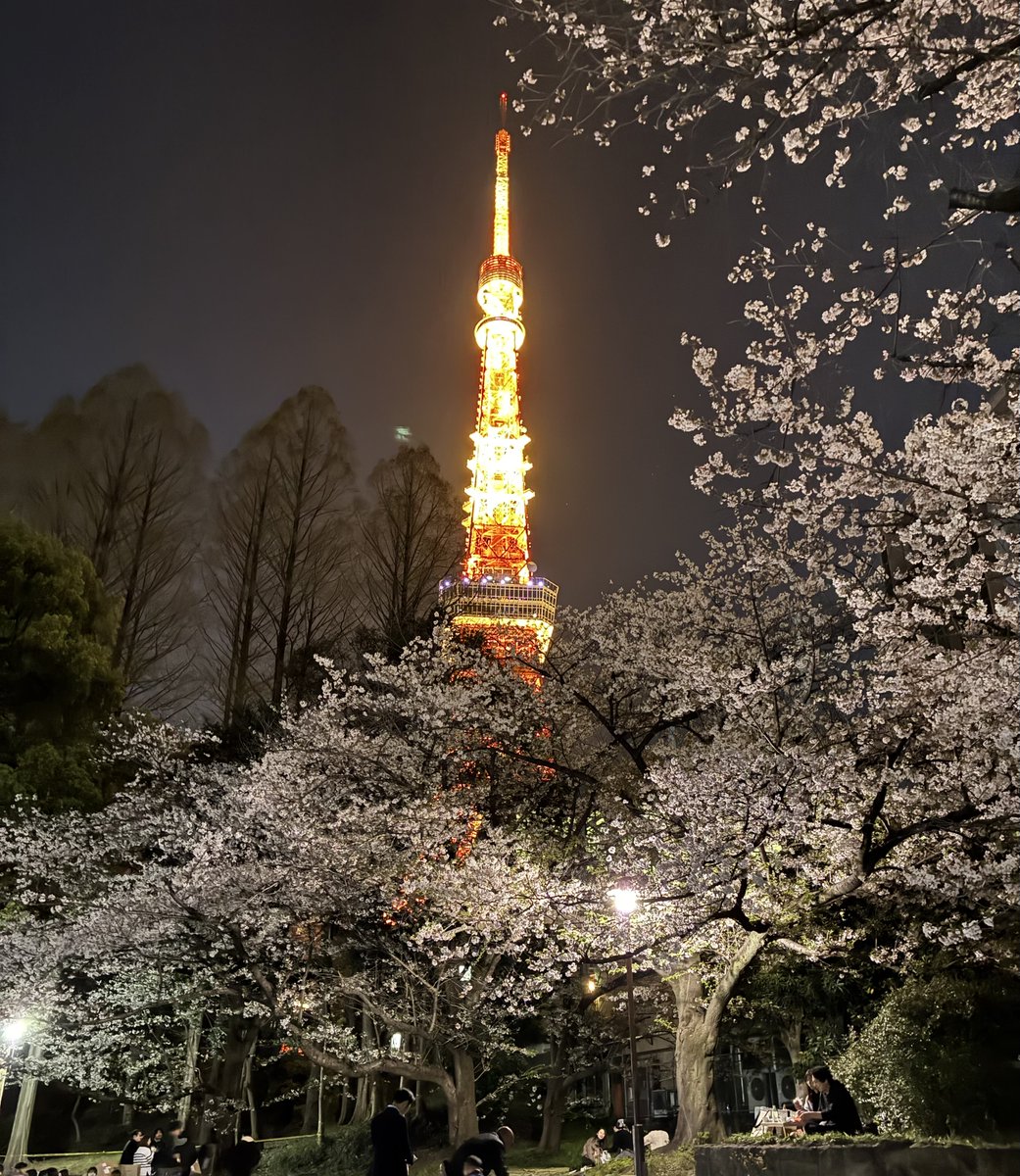 しんちぇったー4X tweet media