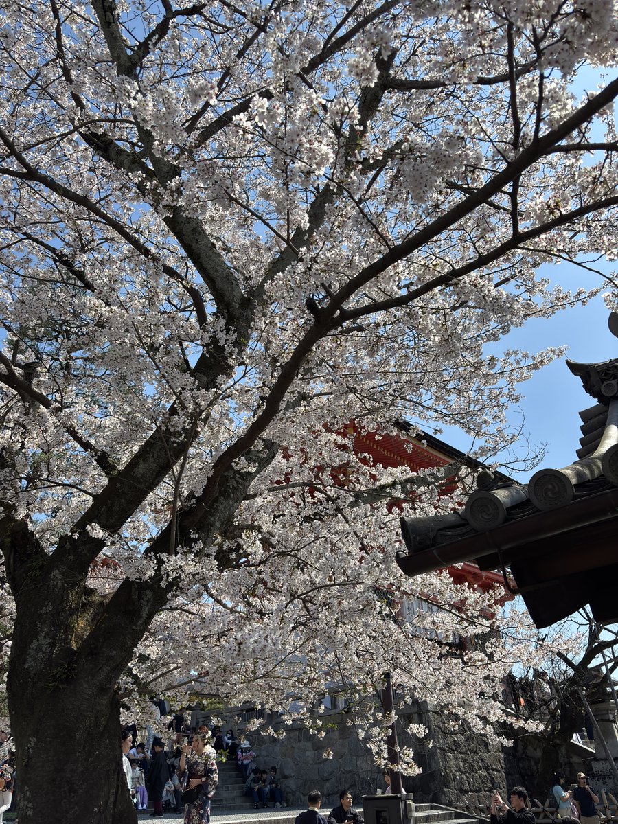 まいしてぶーん tweet media