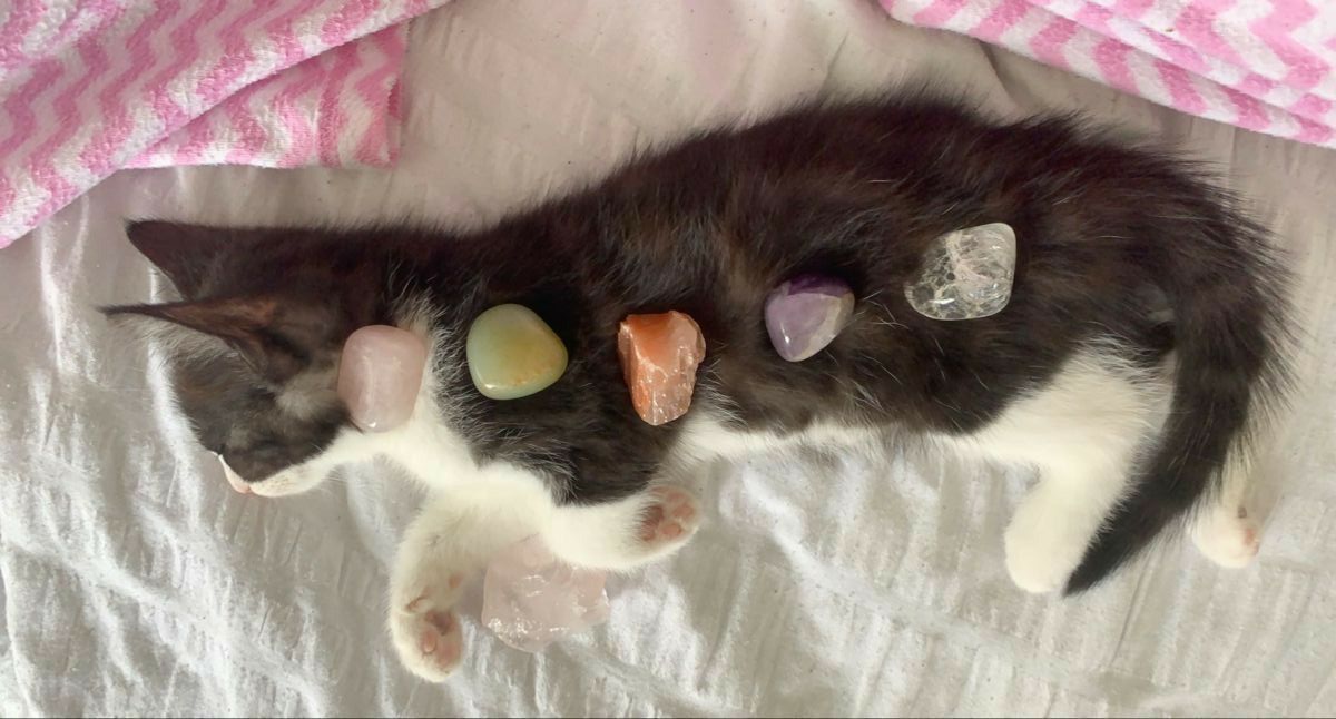 Umtistired tweet media