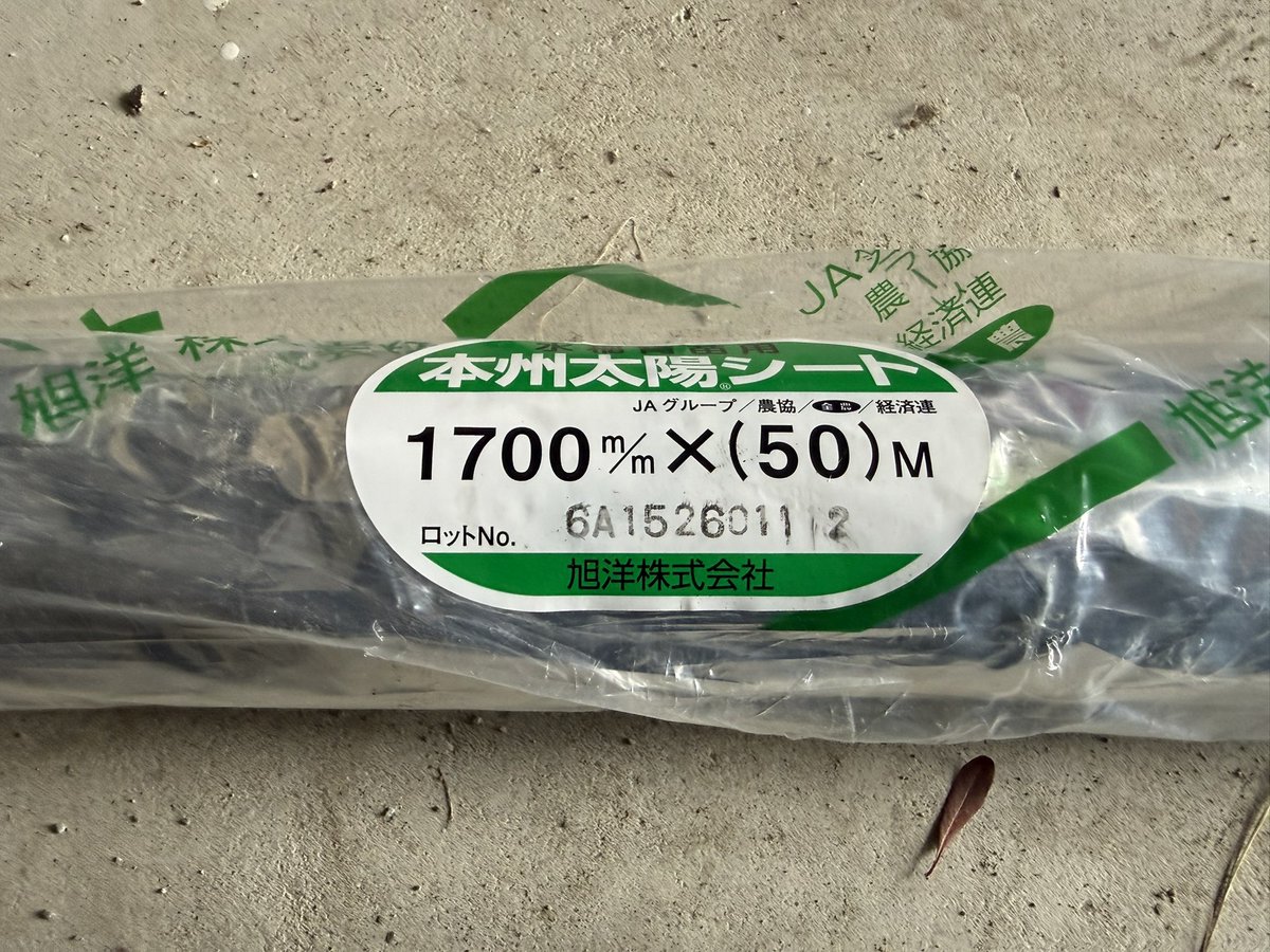 ひまり/素人兼業農家（☺️） tweet media