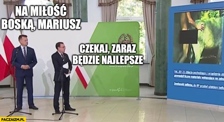Mariuszsz tweet media