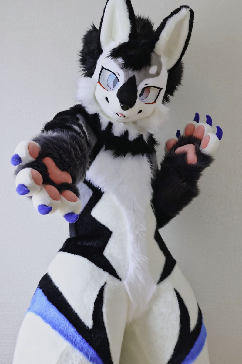 アオイ🐺蒼ヰ tweet media