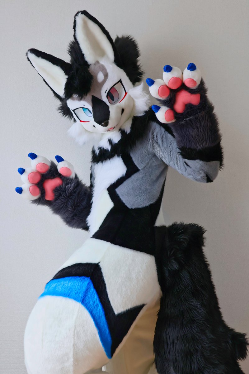 アオイ🐺蒼ヰ tweet media